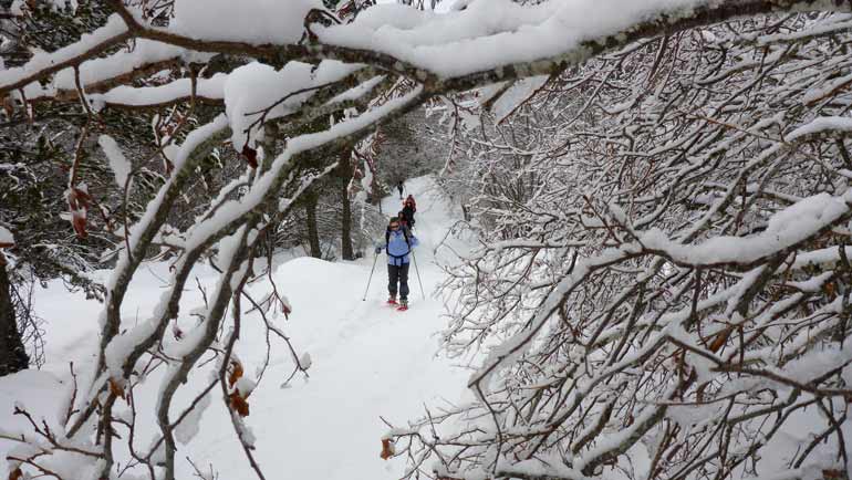 Raquetas de Nieve en Benasque - Explora la montaña en invierno - Pics  d'Europa